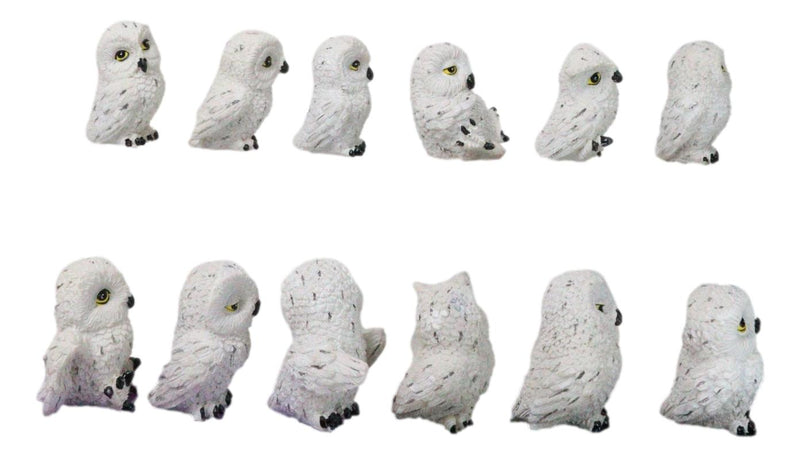 Set Of 12 Wisdom Of The Tundra Forest Arctic Snow White Owls Mini Figurines