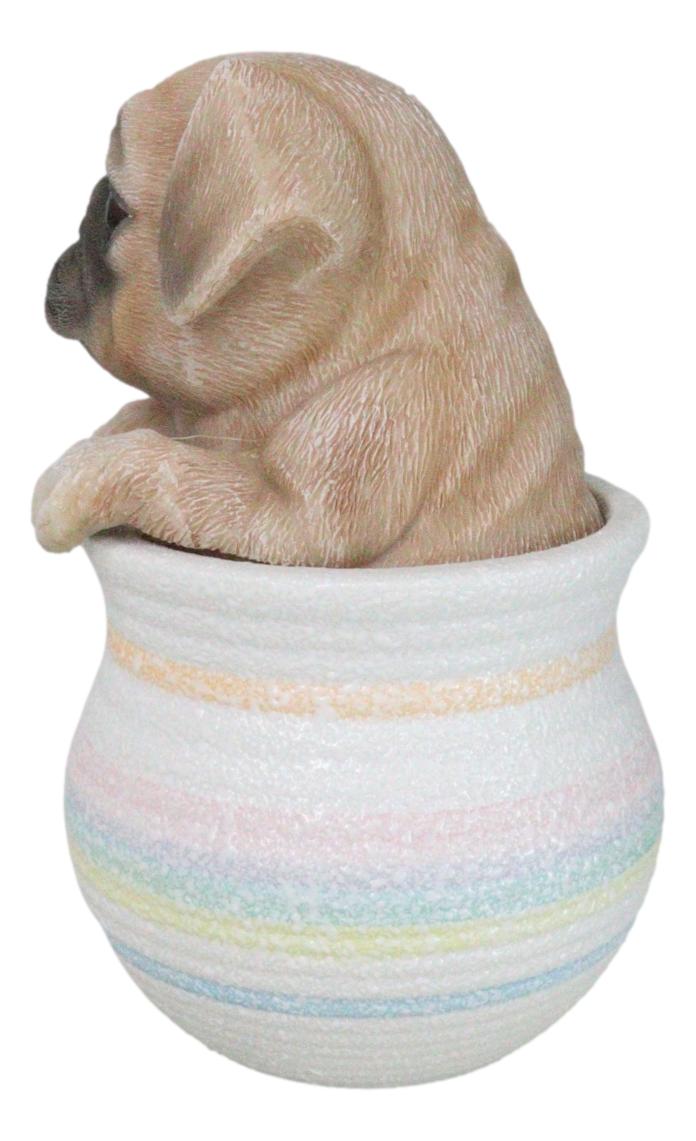 Realistic Puggy Pug Puppy Dog Figurine With Glass Eyes Pup In Pot Collection