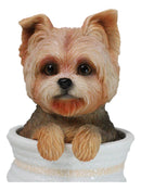 Yorkie Yorkshire Terrier Teacup Puppy Dog Figurine With Glass Eyes Pup In Pot