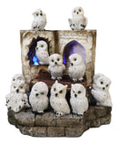 12 Mini Snow White Owls On Pentagram Spell Books With Secret Caverns LED Display