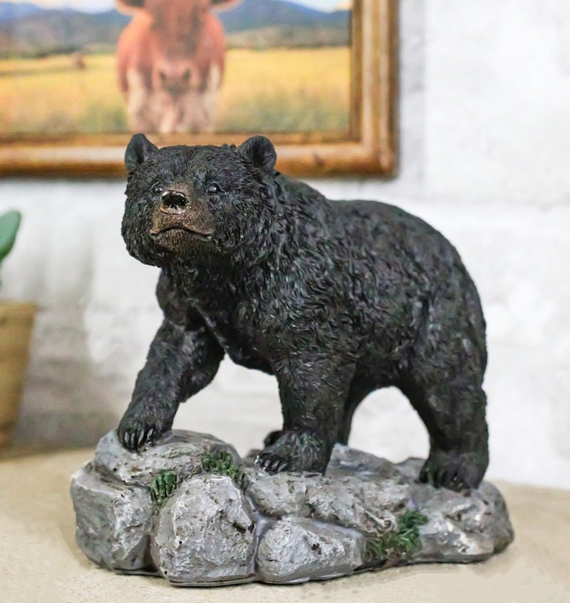 Rustic Wildlife Forest Black Bear Walking On River Rock Steppes Figurine