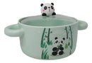 Green Curious Panda Bear Donburi Ramen Soup Bowl With Glass Lid And Handles