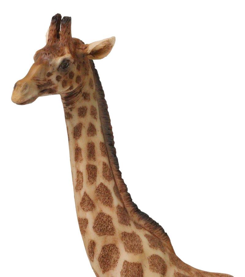 Nature Wildlife Realistic Safari Savannah Masai Giraffe Standing Figurine