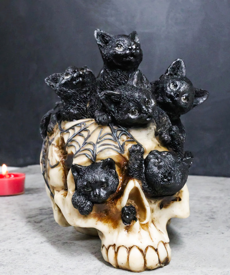 Witchcraft Black Kitten Cats Perching On Arachnid Spider Web Skull Figurine