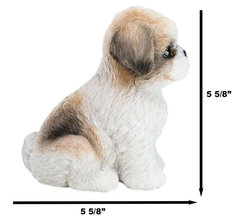 Adorable Lifelike Shih Tzu Puppy Dog Sitting Figurine with Glass Eyes Home Decor