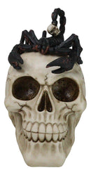 Halloween Macabre Gothic King Scorpion Demoniac On Skull Figurine