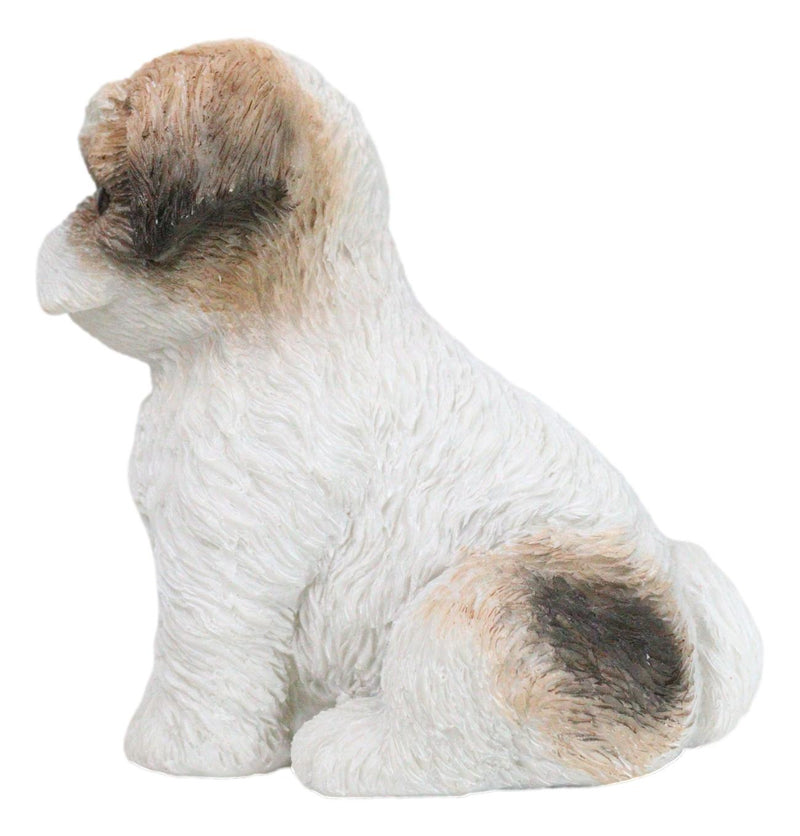 Adorable Lifelike Shih Tzu Puppy Dog Sitting Figurine with Glass Eyes Home Decor