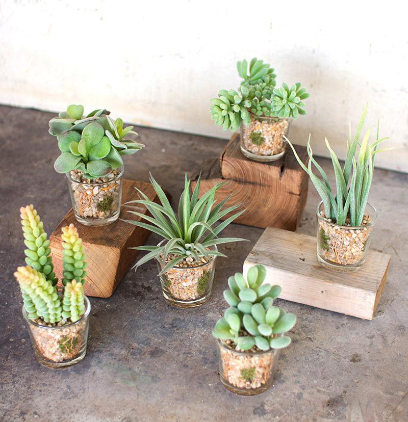 Set Of 6 Realistic Lifelike Artificial Faux Botanica Succulents In Glass Pots