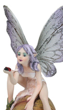 Fantasy Purple Elf Pixie Fairy Ladybug Sitting On Giant Snail Mollusk Figurine