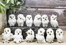 Set Of 12 Wisdom Of The Tundra Forest Arctic Snow White Owls Mini Figurines