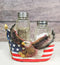 Patriotic Star Spangled Banner US Flag Bald Eagle Salt And Pepper Shakers Holder