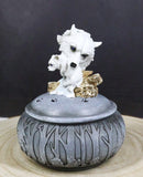 Albino Snow White Wolf Carrying Cub In Mouth Round Decorative Jewelry Box