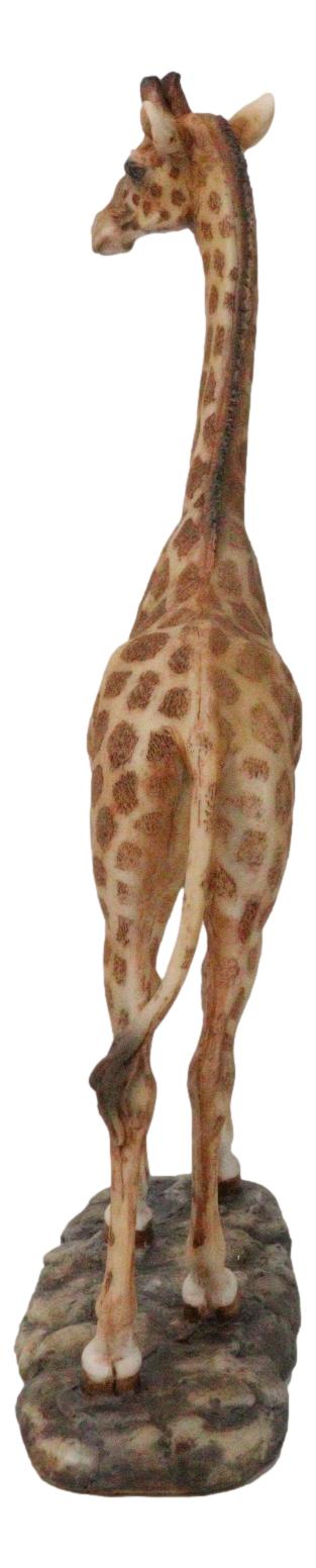 Nature Wildlife Realistic Safari Savannah Masai Giraffe Standing Figurine