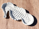 Cast Iron Rustic White Swimming Seahorse Trinket Coins Jewelry Tray Dish Decor