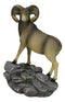 Wildlife Animal Taxidermy Bighorn Sheep Ram Standing On Rocky Steppes Figurine