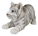 Realistic White Alaskan Siberian Tiger Cub Crouching Decorative Statue 12"L