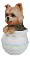 Yorkie Yorkshire Terrier Teacup Puppy Dog Figurine With Glass Eyes Pup In Pot