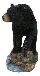 Rustic Wildlife Forest Black Bear Fishing By Rocky River Bank Figurine Decor