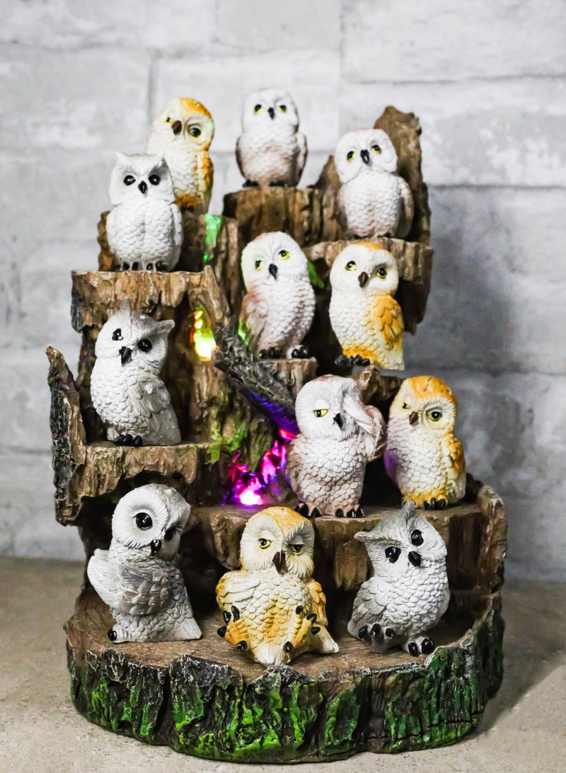 Forest Tree Steppes LED Display Stand With 12 Colorful Miniature Owls Figurines