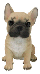 Realistic Adorable Fawn French Bulldog Puppy 6"H Cute Frenchie Dog Figurine