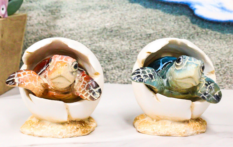 Pack Of 2 Marine Blue And Brown Sea Turtle Hatchlings In Egg Shells Figurines