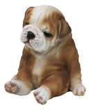 American Pedigree Dogs Lifelike Bulldog Puppy Dog Laid Back Sitting Figurine