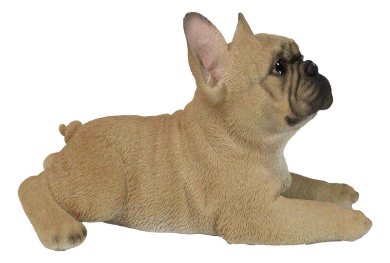 Sitting Realistic Adorable French Bulldog Puppy Dog Frenchie Figurine 8.25"L