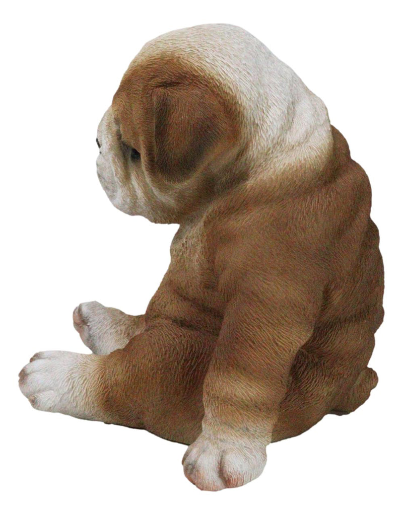 American Pedigree Dogs Lifelike Bulldog Puppy Dog Laid Back Sitting Figurine