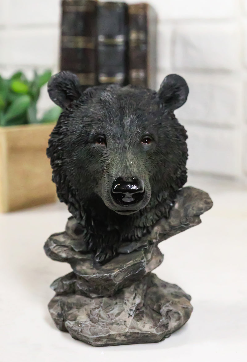 Western Rustic Wildlife Forest Black Bear Bust Figurine with Rocky Steppes Stand