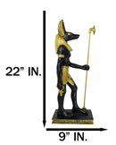 Large Egyptian God Of The Dead Mummification Anubis With Was Staff Statue 21.5"H