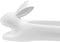 Bunny Rabbit White Ceramic Serving Platter Plate Cracker Dish Trays Serveware