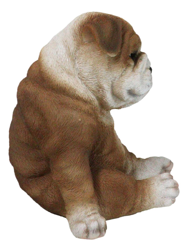 American Pedigree Dogs Lifelike Bulldog Puppy Dog Laid Back Sitting Figurine