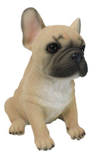 Realistic Adorable Fawn French Bulldog Puppy 6"H Cute Frenchie Dog Figurine