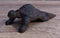 Pack Of 2 Rustic Cast Iron Marine Ocean Sea Turtle Tortoise Door Wedge Stoppers