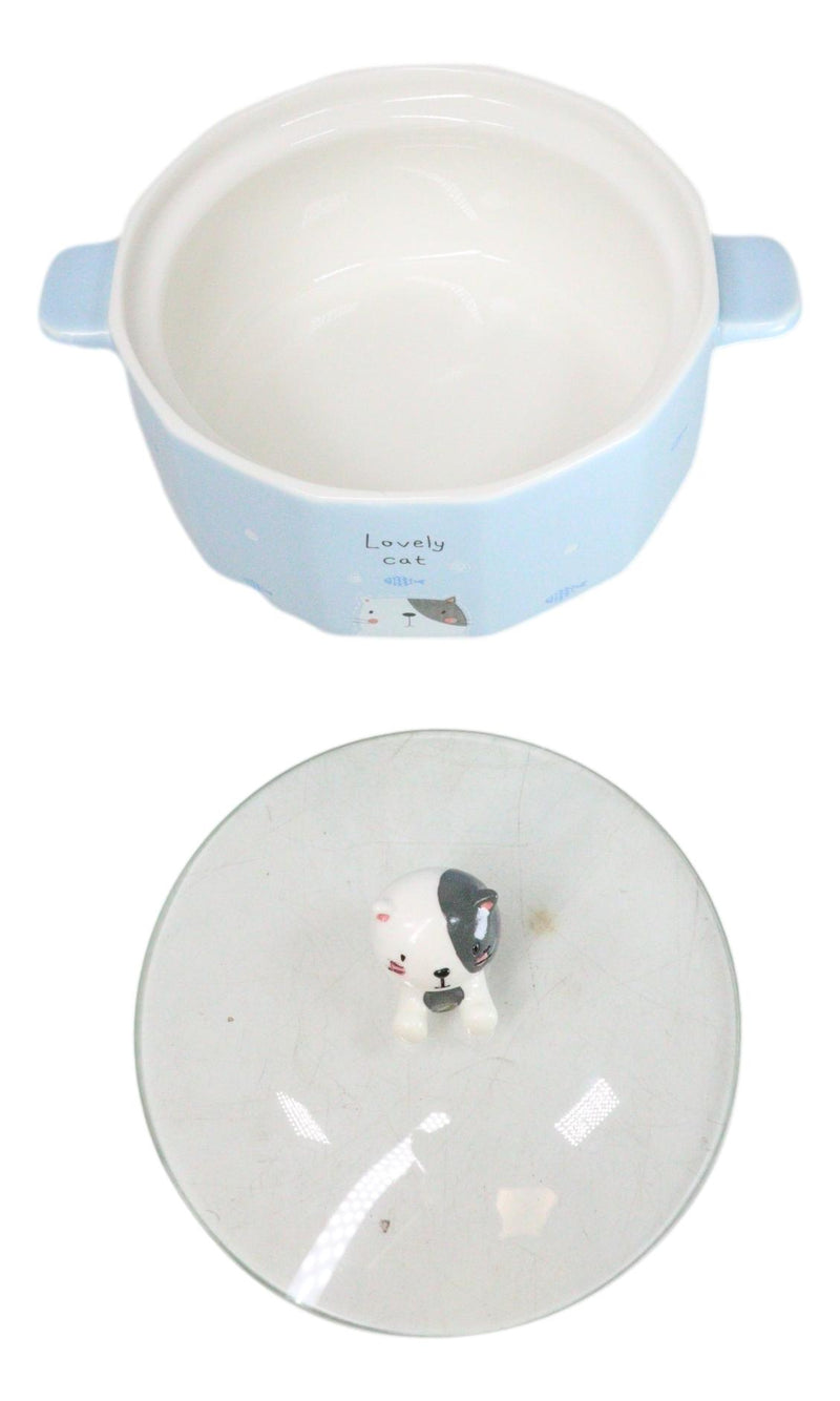 Ceramic Blue Lovely Cat With Fishes 30oz Noodle Dessert Food Bowl W/ Glass Lid