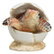 Pack Of 2 Marine Blue And Brown Sea Turtle Hatchlings In Egg Shells Figurines