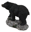 Rustic Wildlife Forest Black Bear Walking On River Rock Steppes Figurine