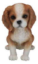 Adorable Tricolor Cavalier King Charles Spaniel Puppy Dog Breed Figurine 6"L