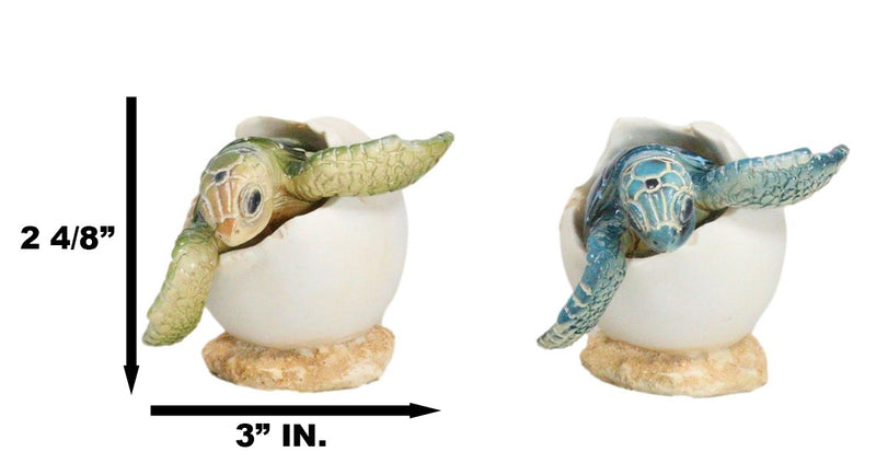 Pack Of 2 Marine Blue And Green Sea Turtle Hatchlings In Egg Shells Figurines