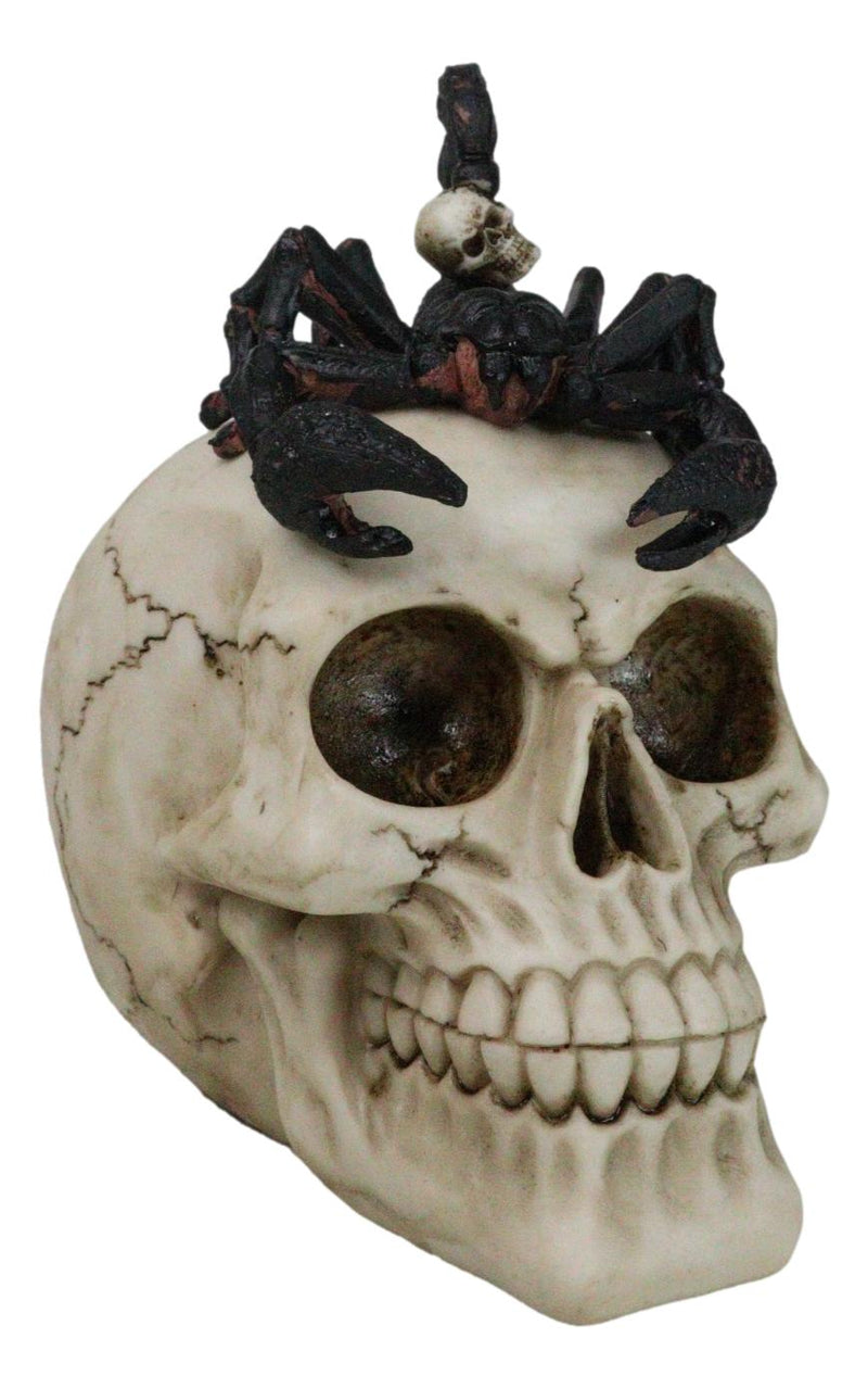 Halloween Macabre Gothic King Scorpion Demoniac On Skull Figurine