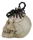 Halloween Macabre Gothic King Scorpion Demoniac On Skull Figurine