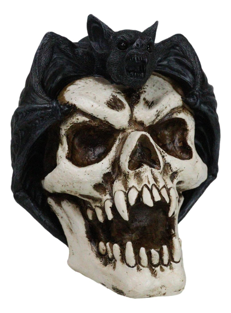 Gothic Nocturnal Vampire Bat Perching On Dracula Fanged Skull Figurine