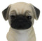 Realistic Lifelike Adorable Sitting Pug Dog Puppy Home Decor Figurine Pet Pal