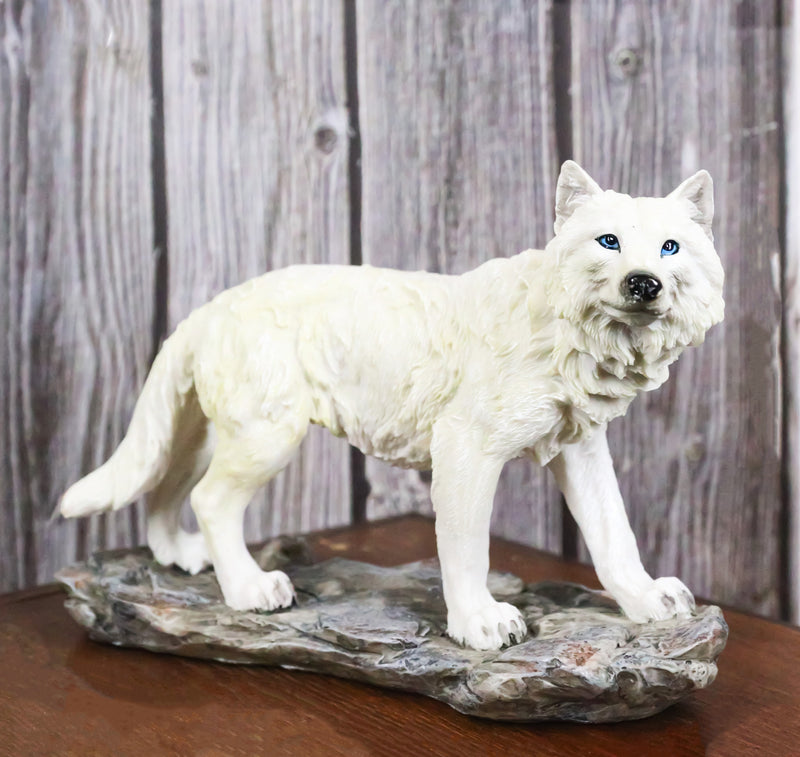 Winter Forest Hunter Tundra Snow White Albino Wolf On The Prowl Figurine 11.5"L