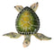 Ocean Marine Green Sea Turtle Decorative Key Stash Decorative Trinket Box