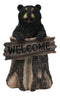 Whimsical Forest Black Bear On Tree Log Holding Welcome Plank Sign Figurine 7"H