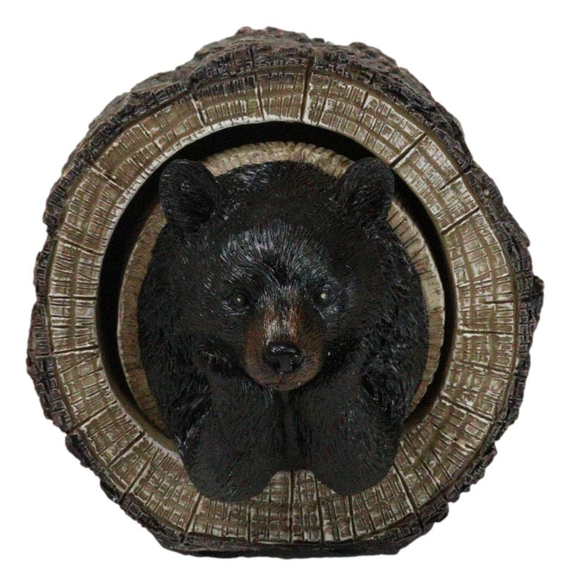 Daydreaming Black Bear in Tree Log Home Decorative Jewelry Trinket Box Figurine