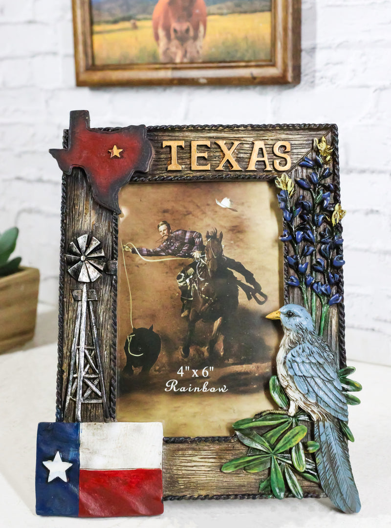 Rustic Western Patriotic Texas Mockingbird Windmill Bluebonnets Picture Frame