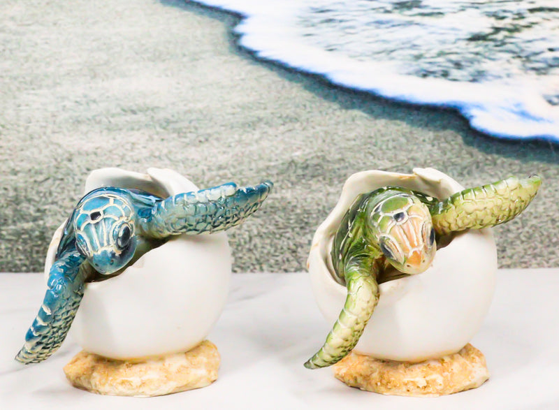 Pack Of 2 Marine Blue And Green Sea Turtle Hatchlings In Egg Shells Figurines