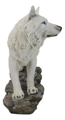 Winter Forest Hunter Tundra Snow White Albino Wolf On The Prowl Figurine 11.5"L